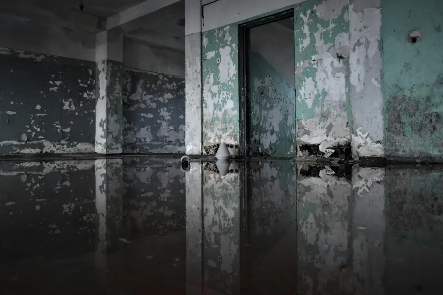 Standing water covering the floor of a dark basement before pump-out