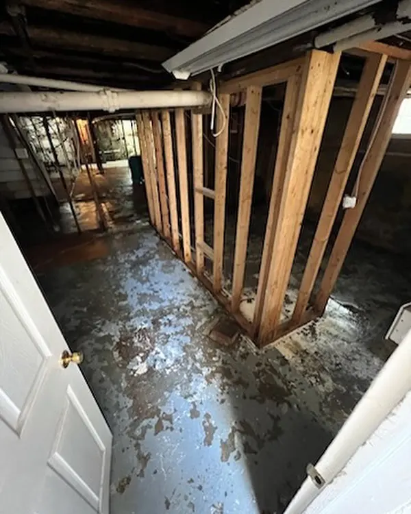 Opened basement wall framing exposed so the cavity can dry out